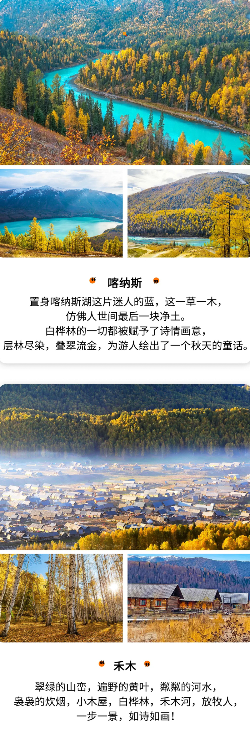 760faa8c0bf290f7246d8142fae02a82-sz_6369880.webp.jpg