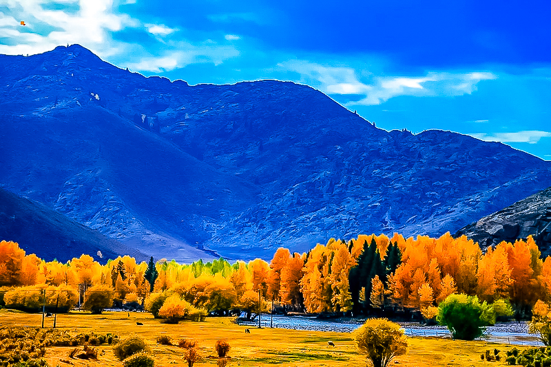 5882f3add30f268c1eb1e4df003e0a45-sz_332508.webp.jpg