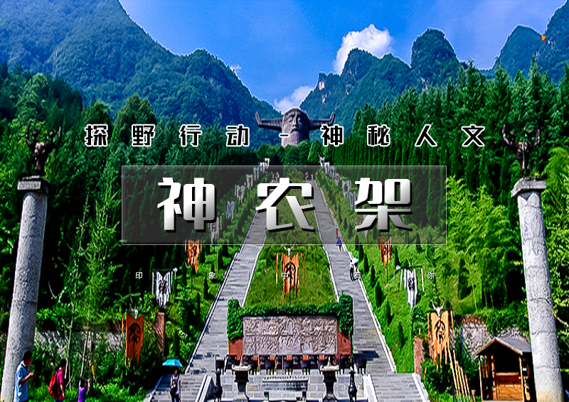 ▌▌印象头图.jpg