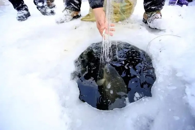 多伦湖冰雪嘉年华_2_内蒙古宜迅信息科技有限公司_来自小红书网页版.jpg