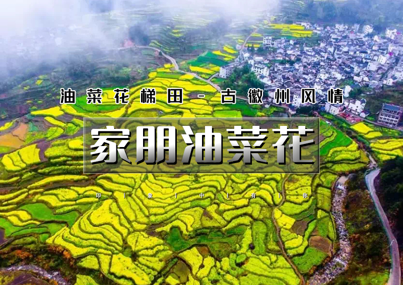 ▌▌印象头图1.jpg