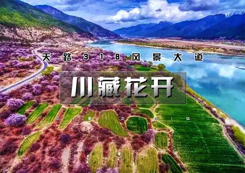 印象头图模版D.jpg