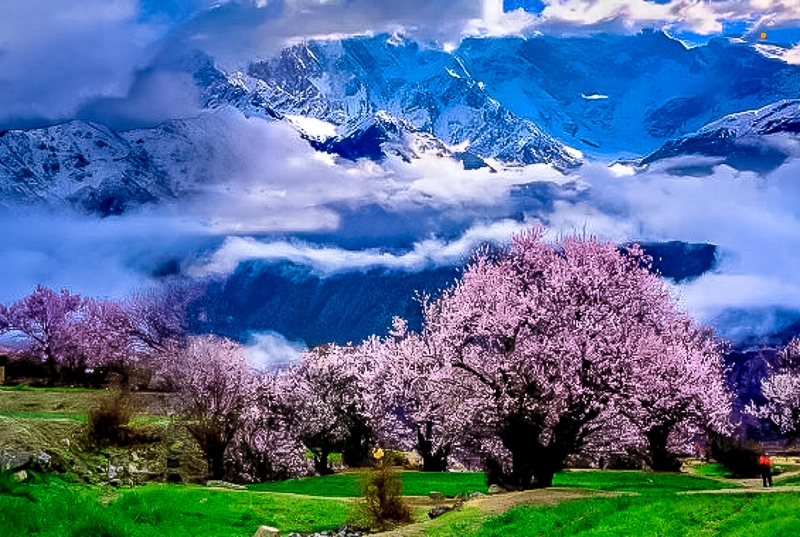 0088QHuogy1gheme3idu7j30zp0o0u0y.jpg