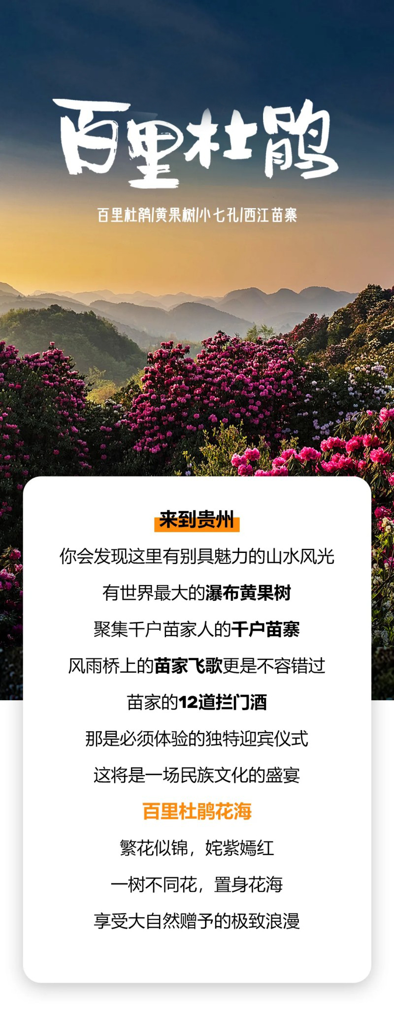 xmwebp (3).jpg