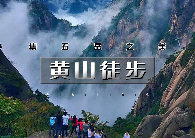 ▌▌印象头图.jpg