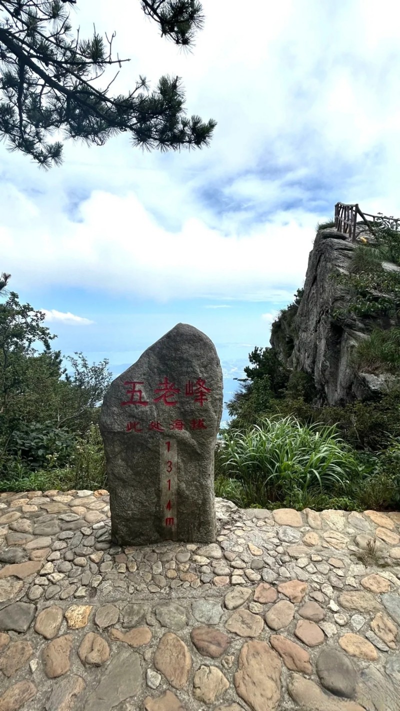96.jpg