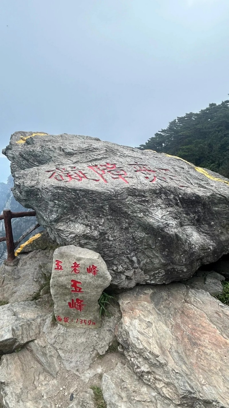 95.jpg