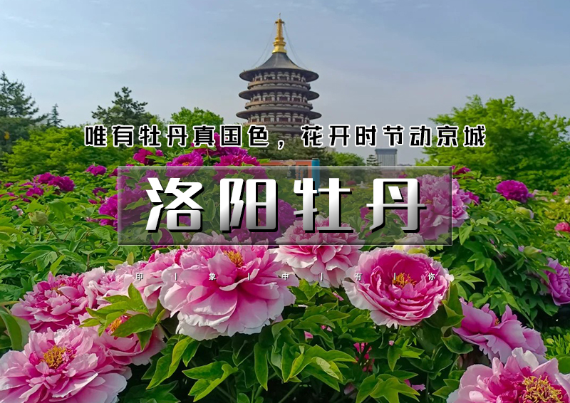 ▌▌印象头图.jpg