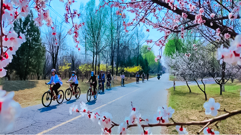 妫河森林公园16KM170.jpg