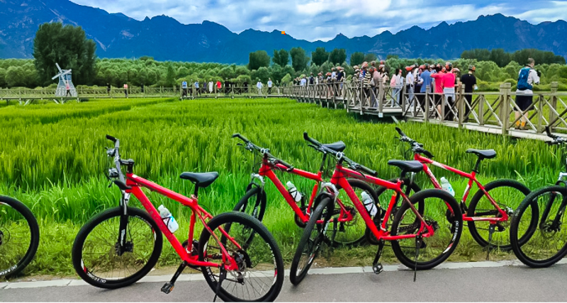 阪泉体育公园15KM1049.jpg