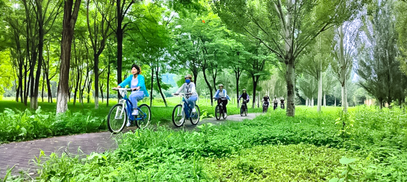 阪泉体育公园15KM509.jpg