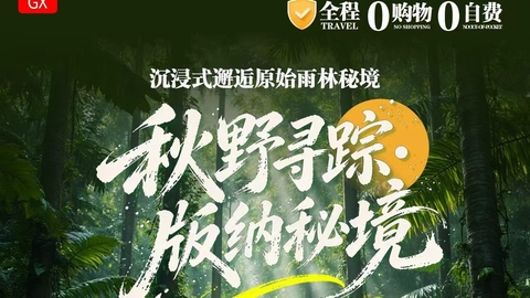 成团了 11.17-11.22日野寻踪・版纳秘境| 沉浸式邂逅原始雨林秘境纯玩 6 日游