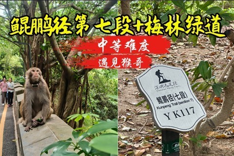 即将成团 11.1周日 鲲鹏径七段 遇见猴哥（14公里徒步）5元是保险费，购买前可以退(20人成团)
