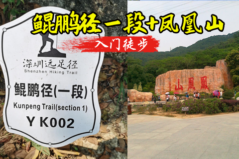 即将成团  10.31日周六 深圳鲲鹏径第一段8公里徒步 5元是保险费（体力不好也可以走）(20人成团)