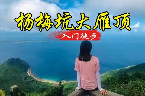 【入门徒步】10.30日 周五 大雁顶，杨梅坑鹿咀山庄，美人鱼基地
