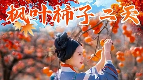成团了转发358元 10.28-10.29日 从化上罗村千亩柿子海，艾米稻香小镇，岭南红叶世界赏枫、天空之境美拍、魔法森林二天
