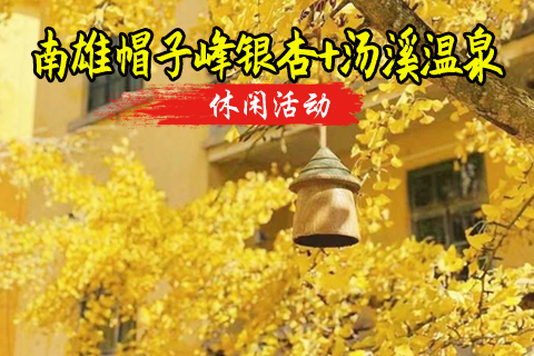 【银杏温泉】南雄帽子峰银杏+汤溪温泉+南华禅寺