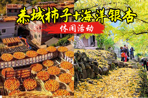 成团 恭城柿子节 桂林海洋乡 阳朔风光3天游