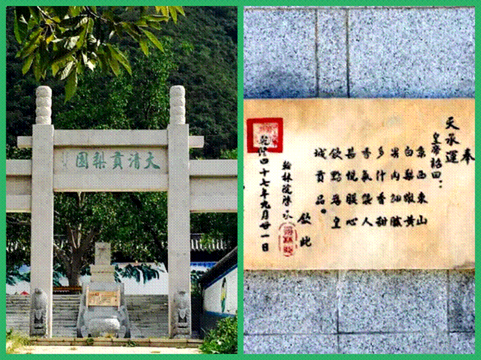 东山大清贡梨园组图