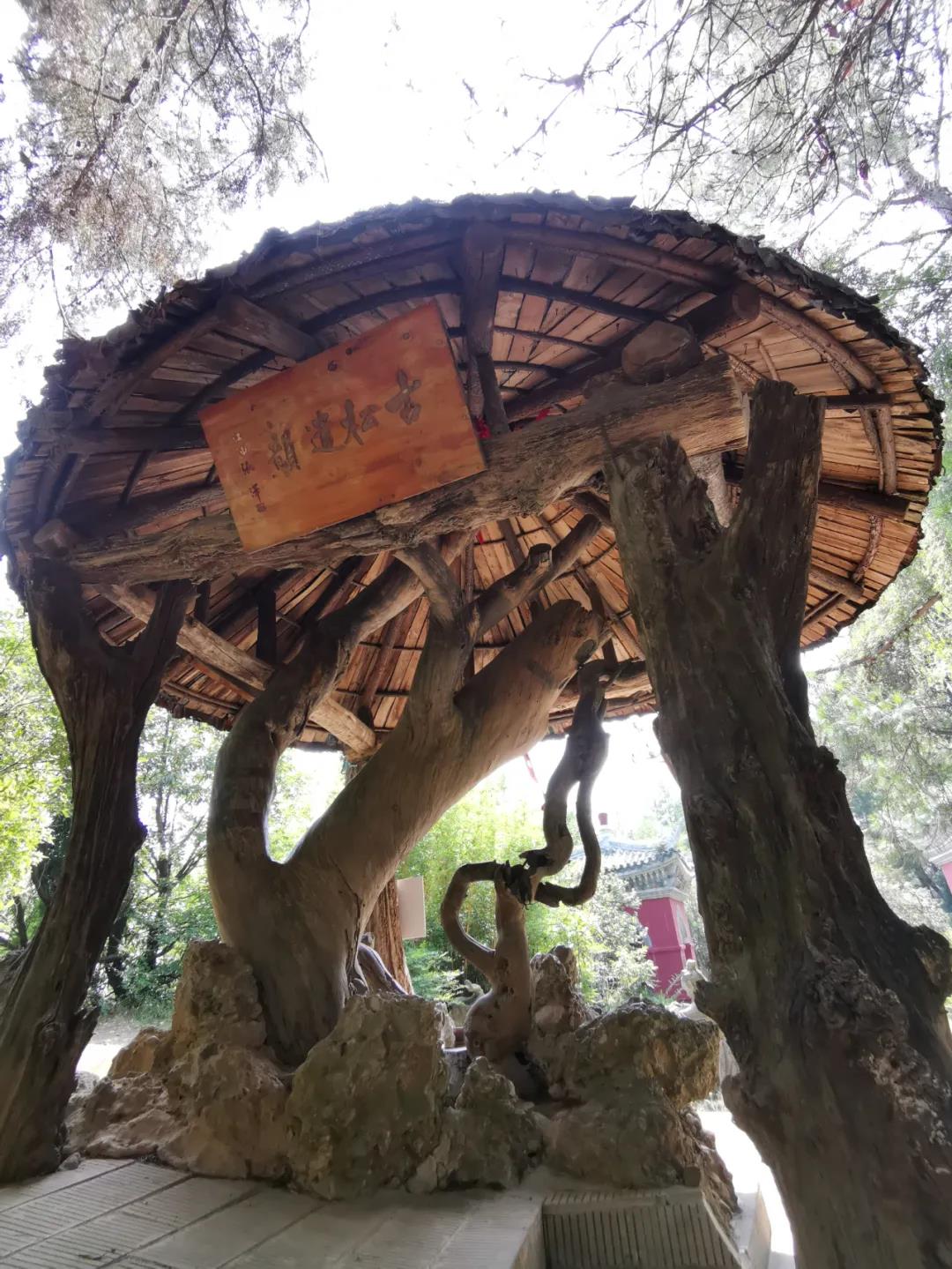 1605598387253882.jpg 15.jpg