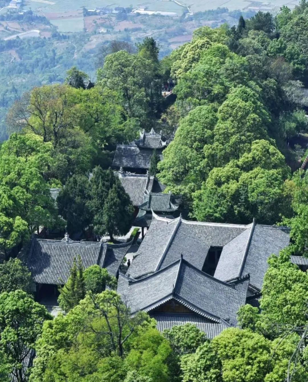 1605598529727565.jpg 17.jpg