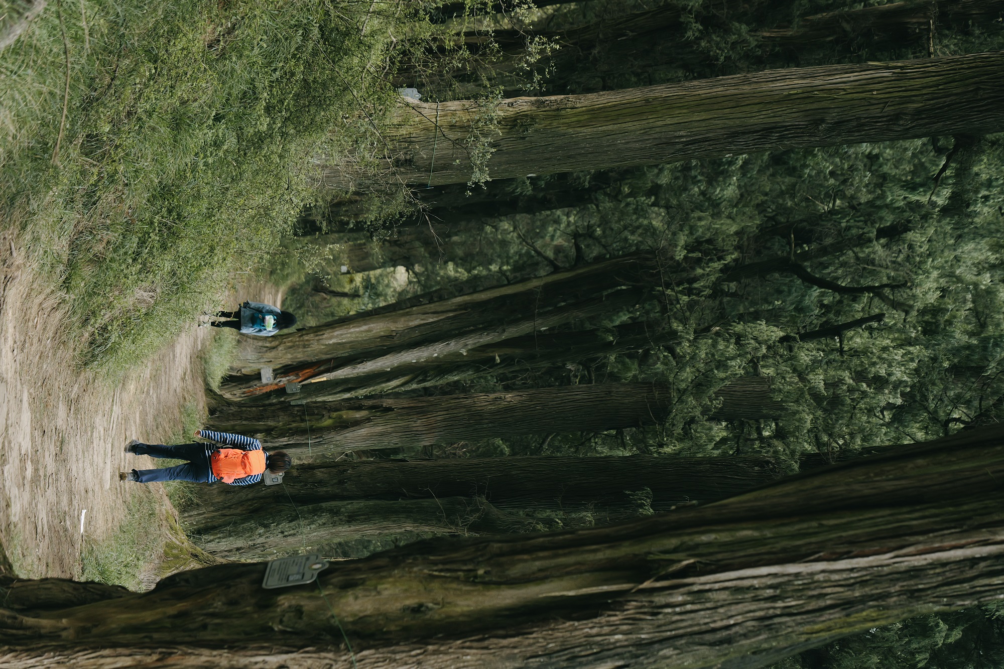 4.25周六【古蜀道|断碑梁、古楼铺、小垭子】步入千年历史古道，打卡“世界交通史上的活化石” - 大德户外