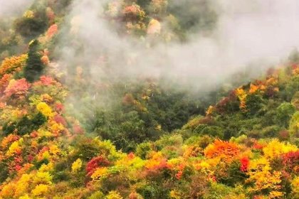 10.30周四【老鸦山】走进川西氧吧,徒步耿达彩林秘境
