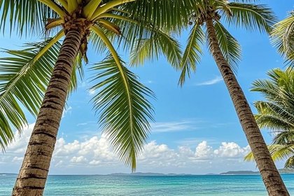 1.12-1.20【海南环岛九日游】去海南吧，时间正好，趁春节的土豪们还没动身！