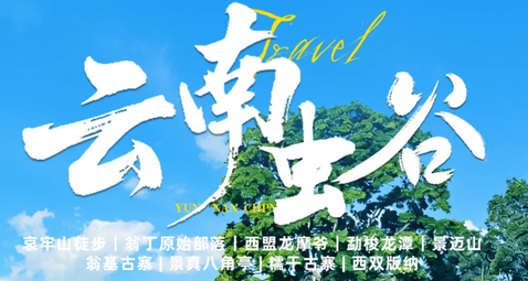 8.8成团【云南虫谷7天】哀牢山秘境｜翁丁原始部落｜西盟龙摩爷｜音乐老达保｜景迈山古茶园｜翁基古寨｜糯干古寨｜景真八角亭