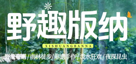 【野趣版纳5天】野象谷 | 雨林徒步 | 傣族非遗手工 | 傣族园泼水狂欢 | 总佛寺 | 湄公河星光夜市