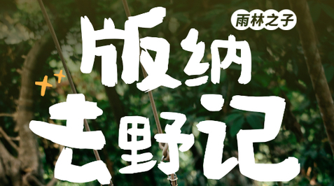 【版纳去野记5天】版纳&普洱两地解散+雨林秘境+曼听公园+野象谷+傣族园+中科院植物园