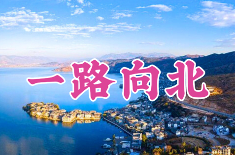 8.8/12/15成团【云南一路向北7天】初游云南首选、大理双廊、洱海旅拍、沙溪古镇、虎跳峡