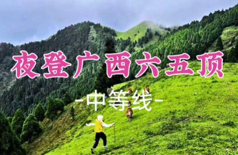即将成团！8.15晚-8.16【特种兵之夜登广西六五顶9公里】“那拉提”高山草原北欧同款塔状