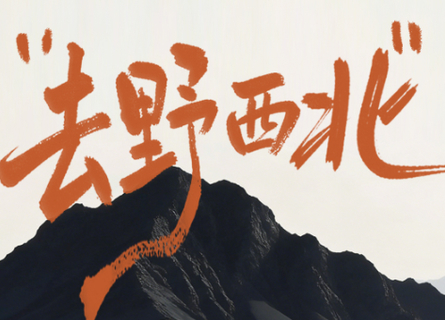 爆款已报228人！【去野！西北7天】8.16/20/24/28成团！2-8人小团 深度纯玩 经典丝路环线走法，小团更自由！