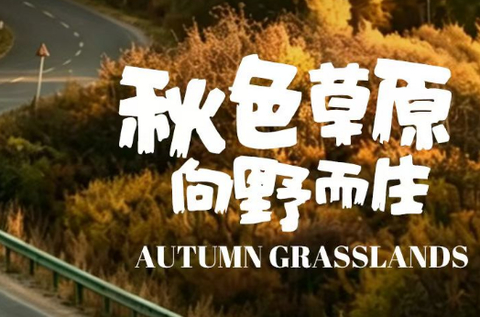 早鸟价最高立减600！【梦幻草原·秋色A线5天】瑞士卷牧场/风之谷/笑脸河/风车草原/小众湿地/莫日格勒河小众观景机位