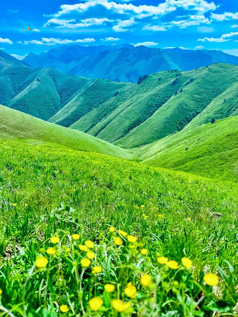 北灵山如果是阿勒泰，那白谷查山是哪_5_十二（户外版_来自小红书网页版.jpg