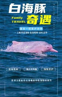 已成行 余位6丨十一假期『童行万里-秘境崇左』10月3-7日 横跨中越边境线 追寻中华白海豚 野外科研濒危石山精灵