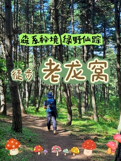 【登山徒步】 9月19日丨“森系秘境 采蘑菇”『童行万里-老龙窝』一日登山穿越（6岁+可报）