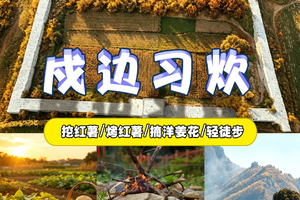 【中秋/十一 单日】公益助农•『童行万里-心有所“薯”』长城古堡徒步 摘洋姜花做花茶&挖红薯烤红薯&梅花灶大厨房 美味非我莫薯