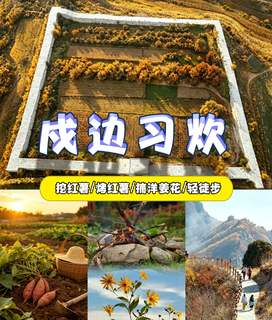 【中秋/十一 单日】公益助农•『童行万里-心有所“薯”』长城古堡徒步 摘洋姜花做花茶&挖红薯烤红薯&梅花灶大厨房 美味非我莫薯