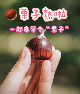 十一【轻徒步 捡栗子】 10.3日/10.5日丨“栗子熟了”『童行万里-秋日甜蜜约定』徒步寻秋 捡怀柔板栗