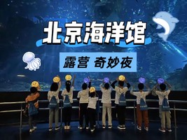 【海洋馆露营奇妙夜】8月22日『童行万里-海底不夜城』遨游海底世界