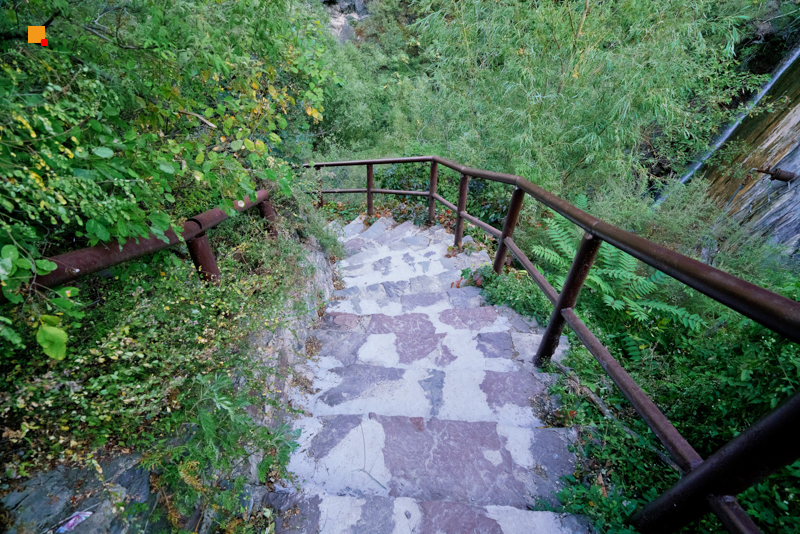 DSC02324.jpg