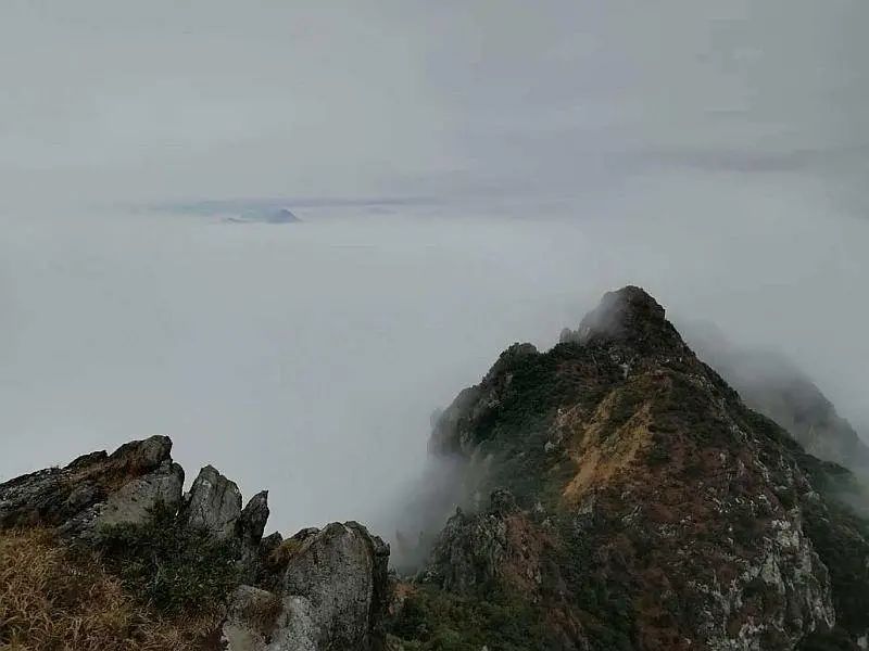 (6)11.25挑战穿越广东小龙斗峰--佛冈猪咸脑山-户外活动图-驼铃网 图片