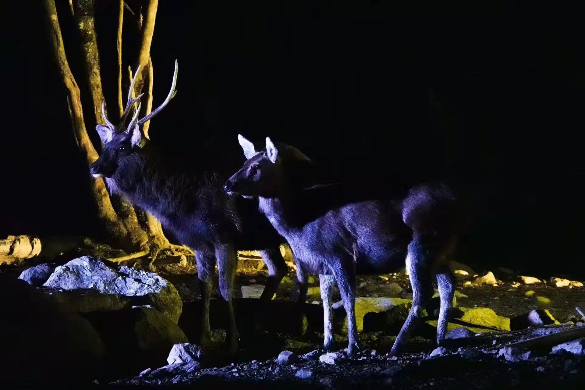 1641532359514684.jpg 微信图片_20220107131058.jpg