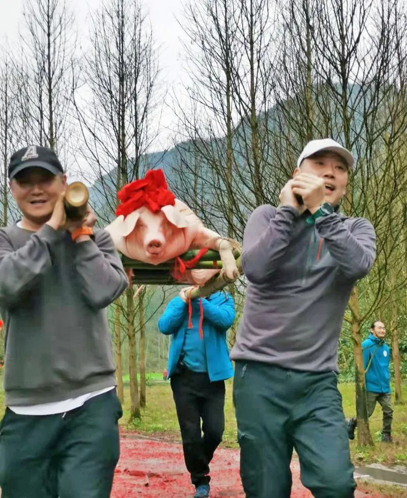 1733987127649736.jpg 图片