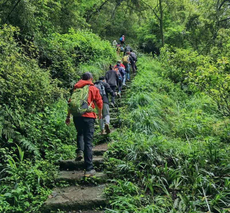 1733989124273208.jpg 图片