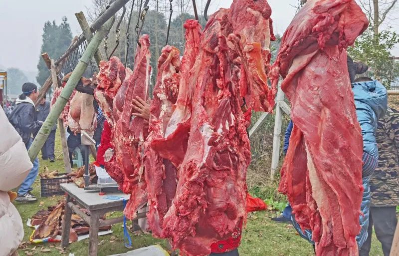 1733989498498006.jpg 图片