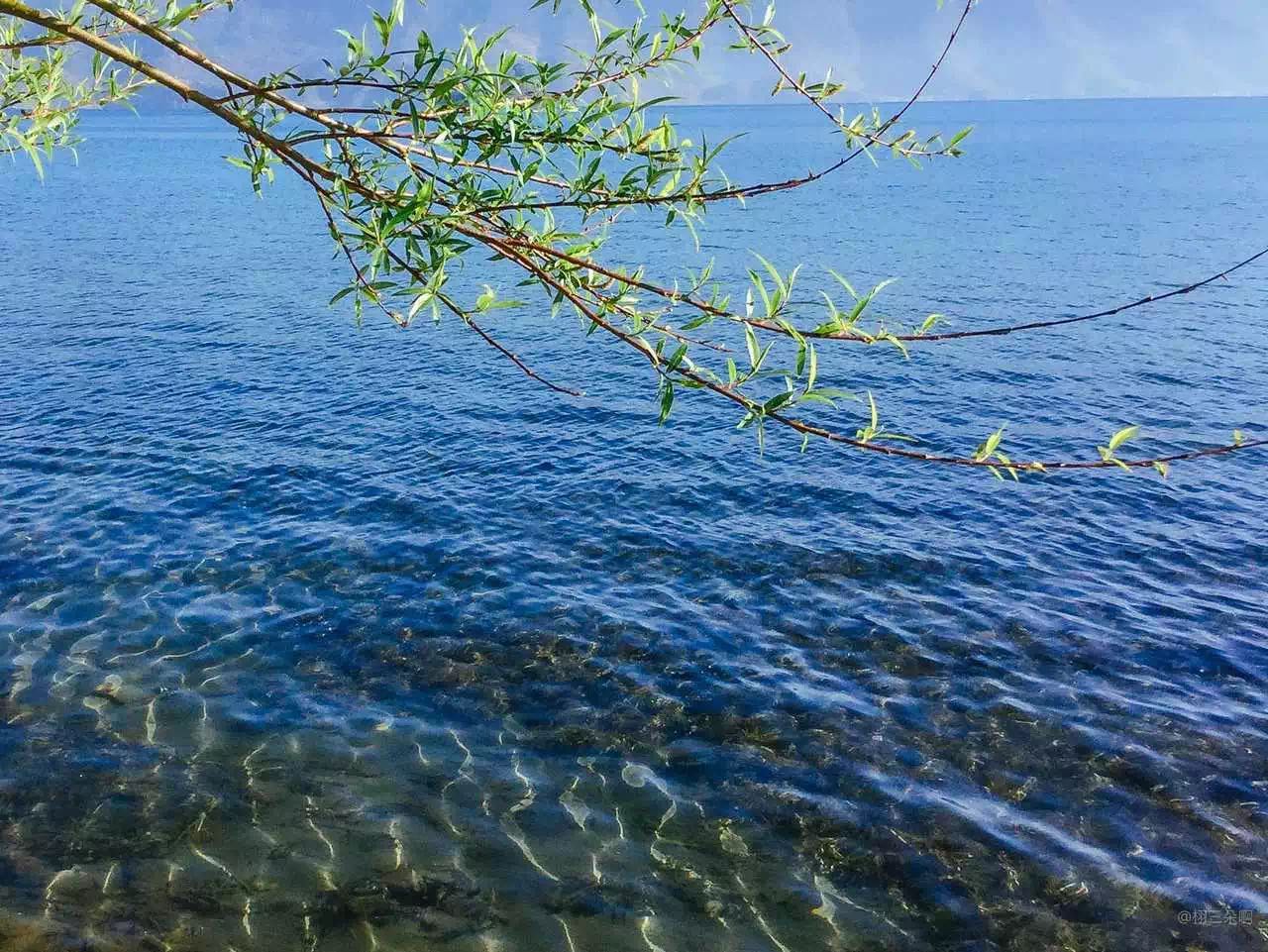 1552369521979613.jpg 8.jpg