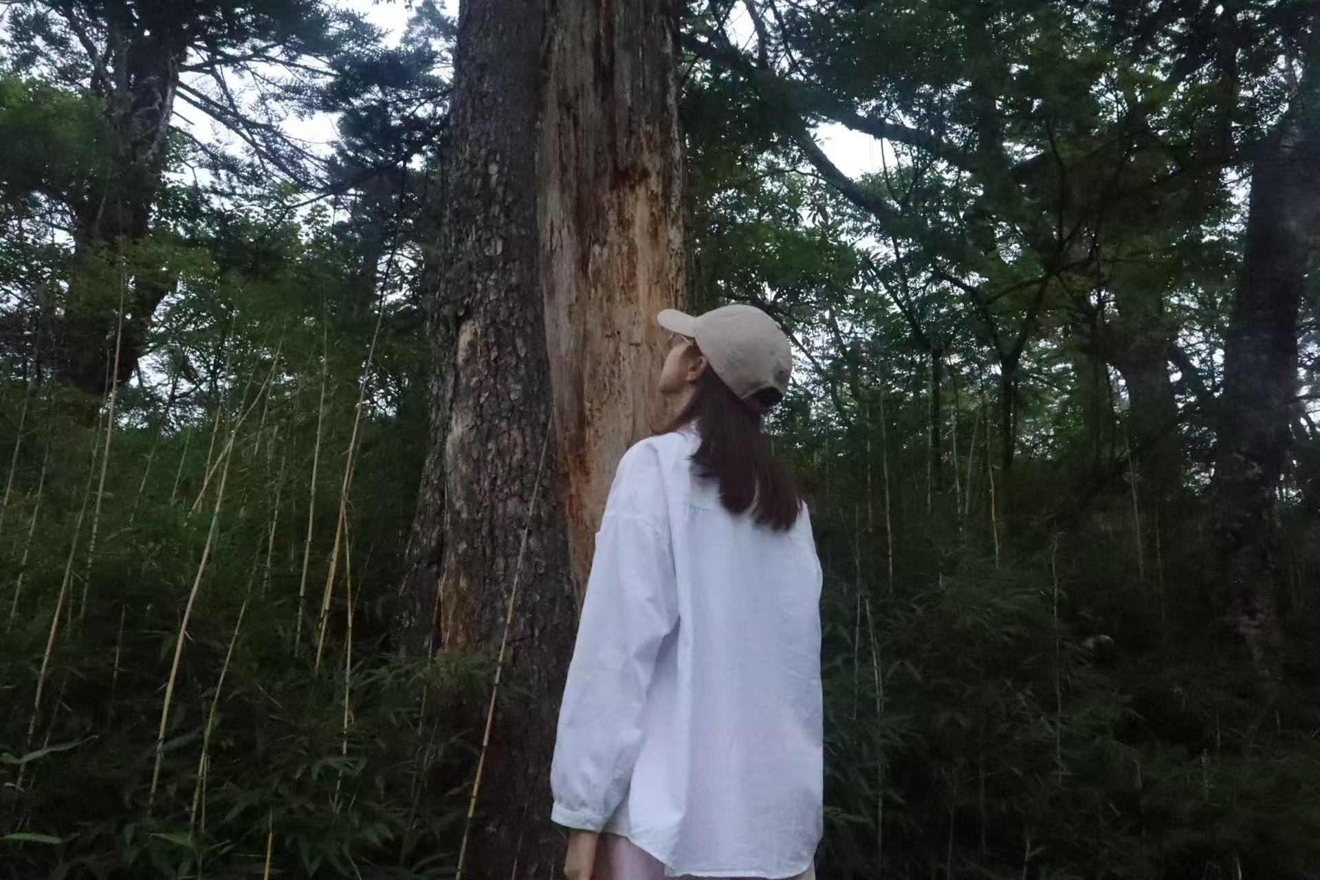 1754271131466661.jpg 微信图片_20250804093138.jpg